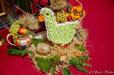 Utrinki z Martinovega sejma in blagoslova vina 10